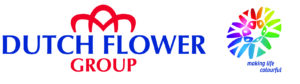 dutch-flower-group